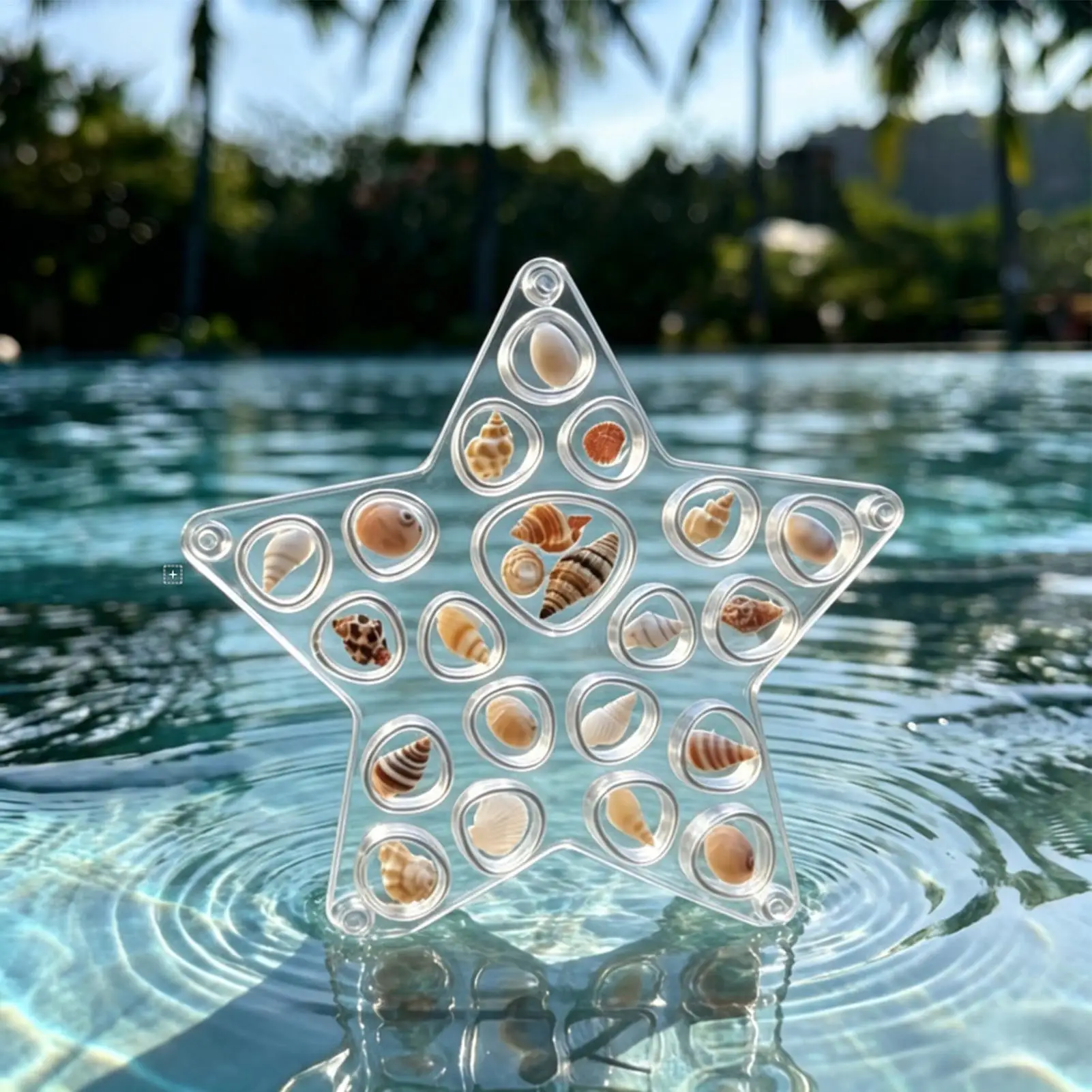 Seashell Holder Display Box Acrylic Organizer Starfish Shell Collecting Box for Girlfriend Women Girls Shark Tooth Rings Ear