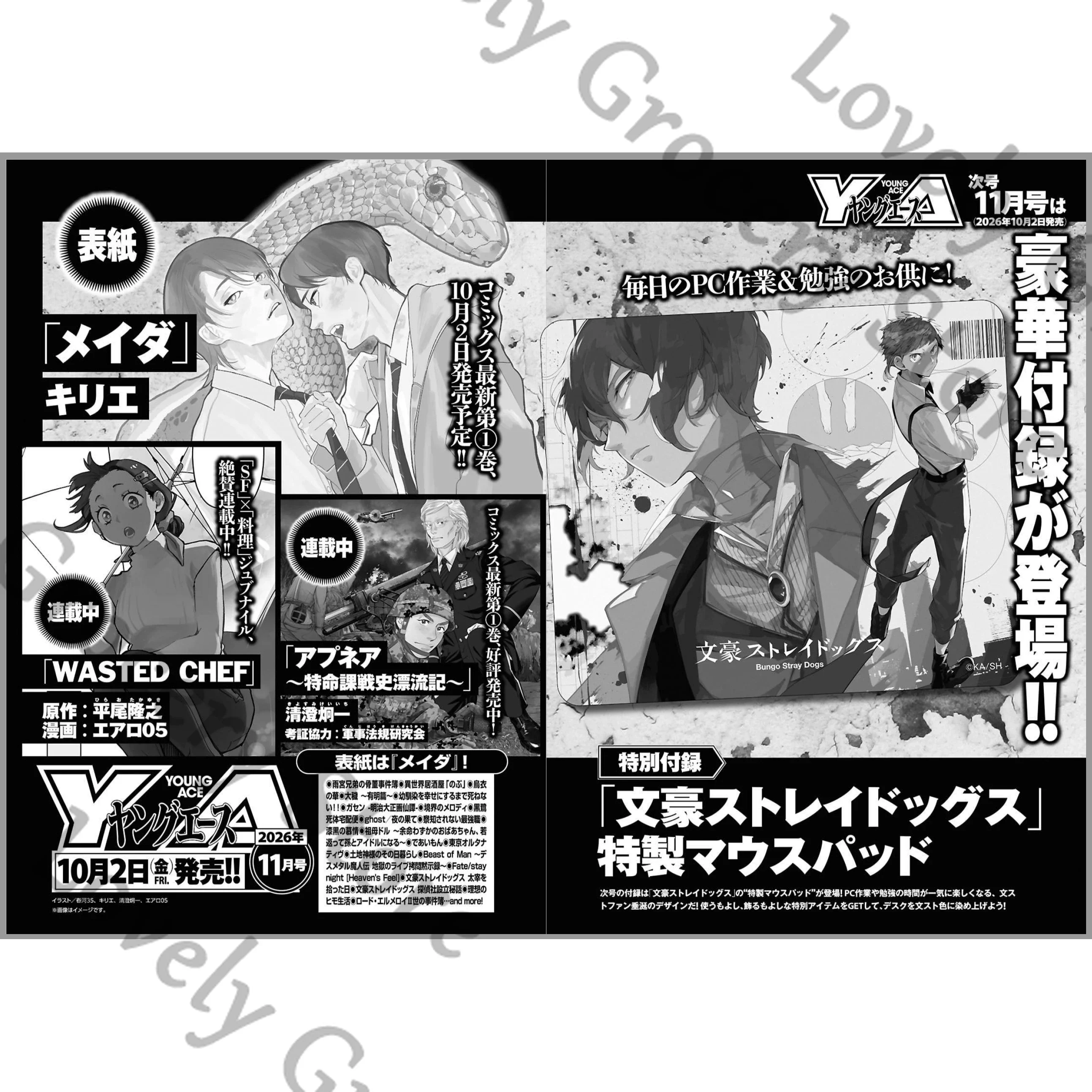 Bungo Stray Dogs Nakahara Chuya Dazai Osamu Cosplay Anime Periodical Periodicals Magazine Japanese Journal Accessories Mouse Pad view 2