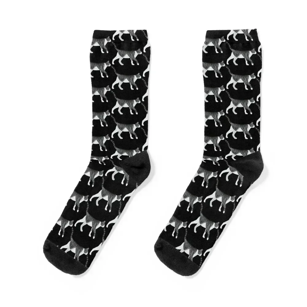 

Gray and White Cat Socks halloween cotton sports stockings designer Men's Socks Luxury Women's