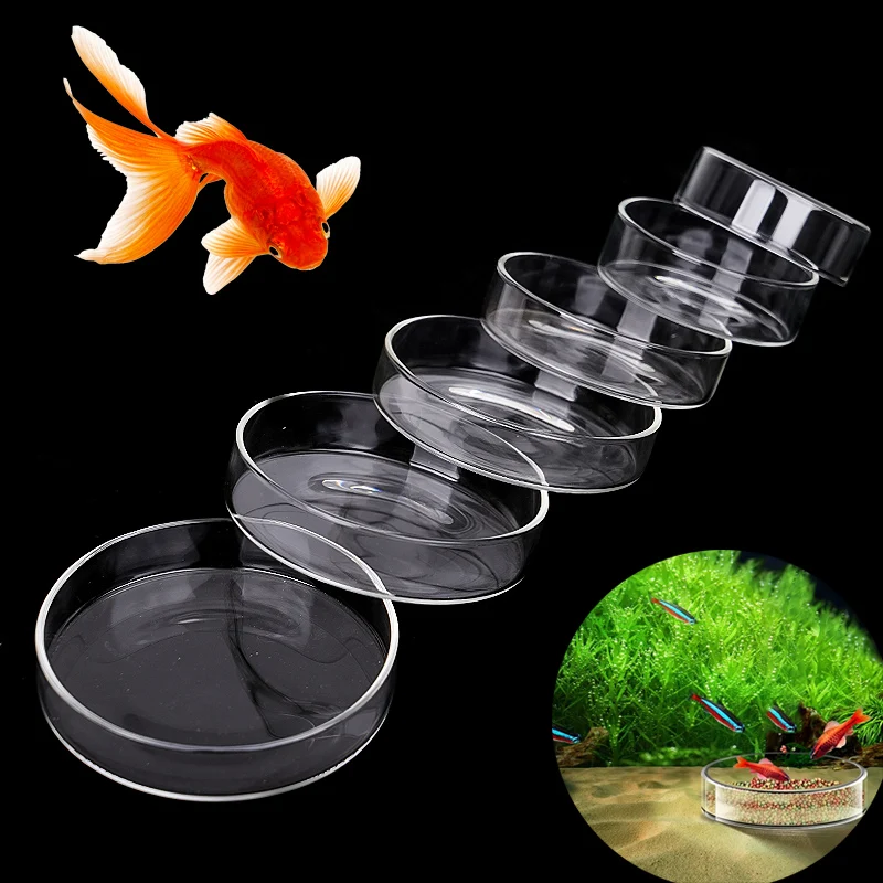 Aquarium Feeding Bowl Fish Tank Feeder Shrimp Tropical Fish Ratfish Glass Feeding Dish Clear Round Tray Reduce Food Scraps