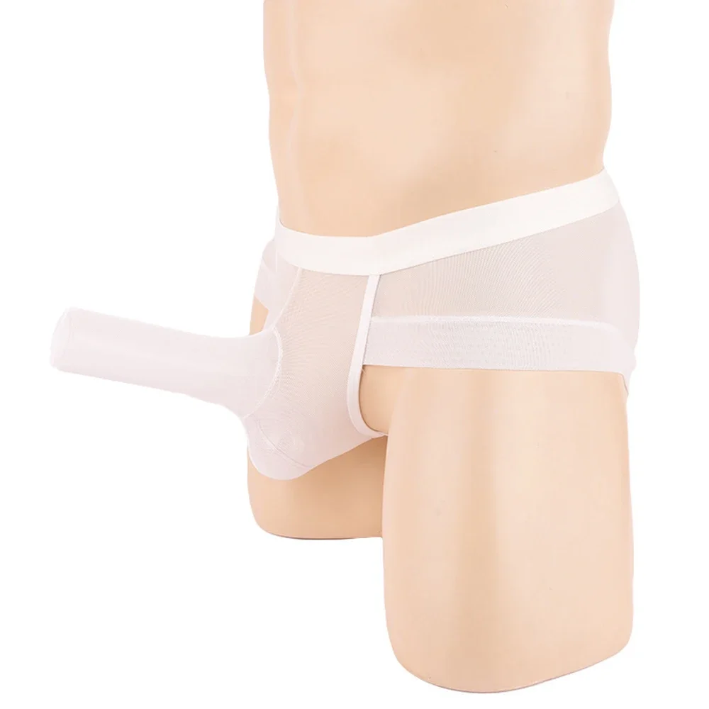 

Men Sexy Low Rise Briefs See Through Sheath Breathable Mesh Lingerie Male Ultra Thin Underwear Seamless Panties Sheer Underpants