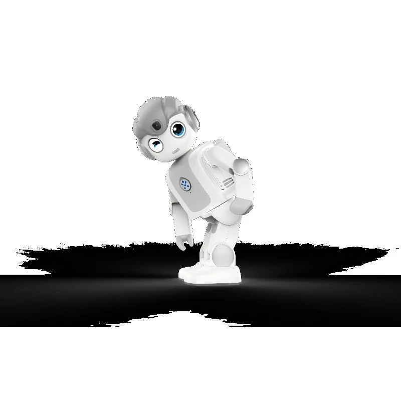 

Puzzle robot toy Ai humanoid plastic interactive robot game learning