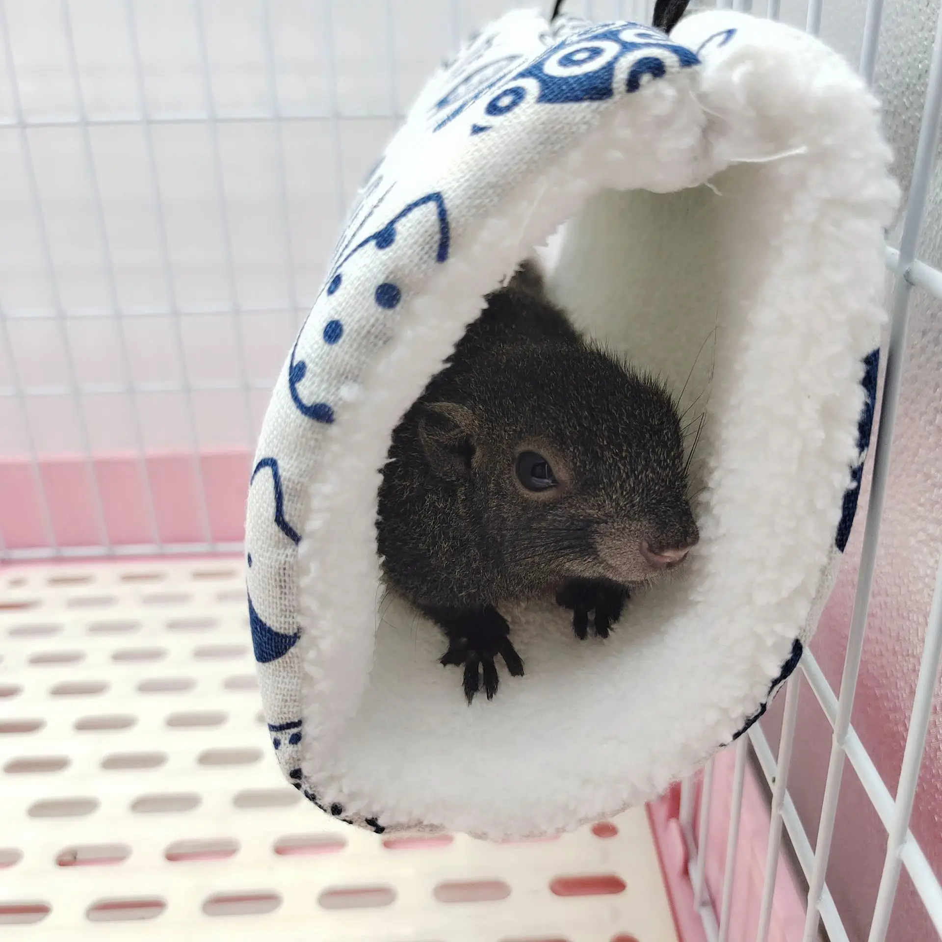 Zufällige Farbe 1pc Kleine Haustier Tunnel Honig Tasche Gleiten Nerz Streug Ratte Meerschweinchen Super Weiche Plüsch Tunnel Nest hamster Warme Tunnel – Detail 4
