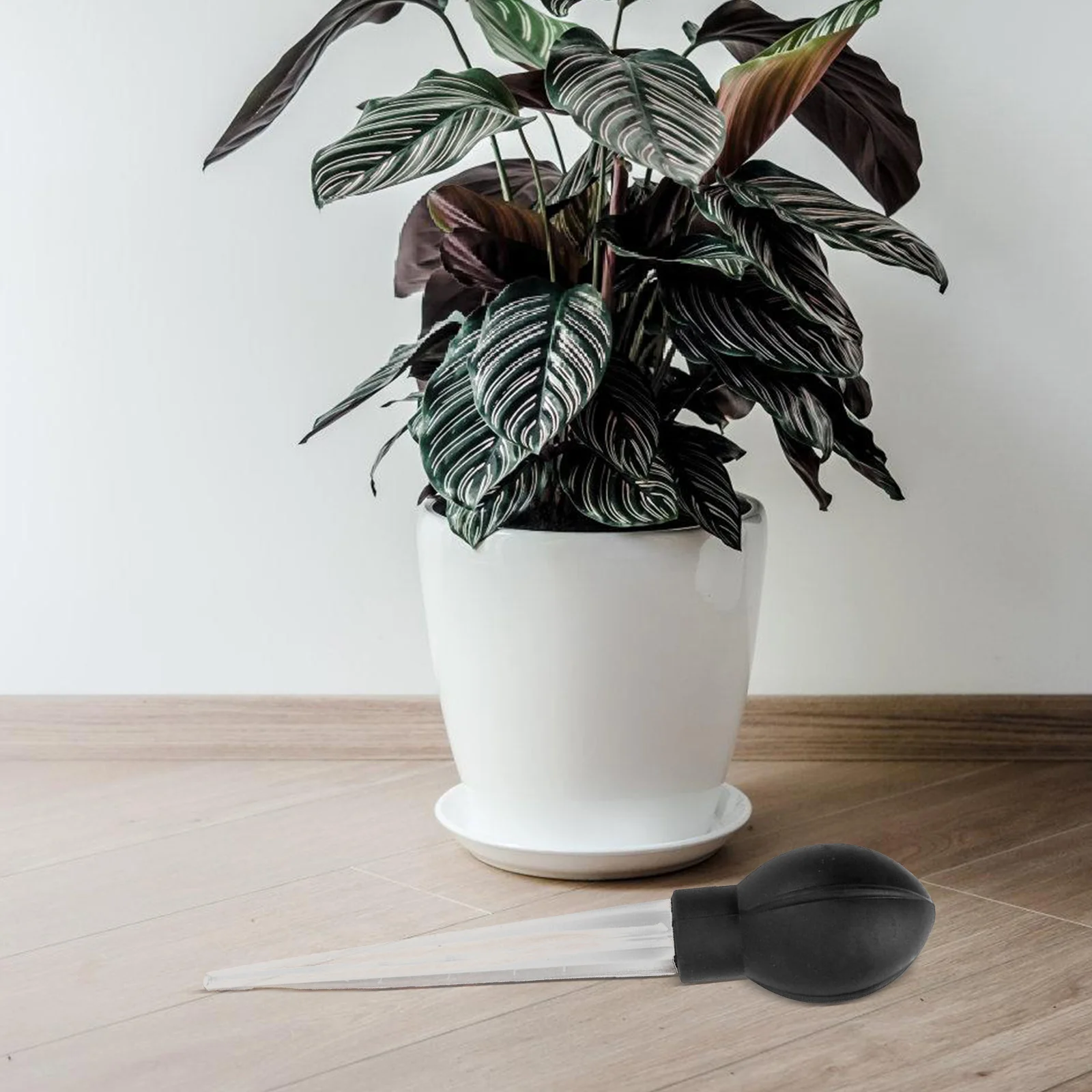 قاعدة امتصاص لأداة إزالة المياه الصحن النباتية ملحقات وعاء الزهور مزيل مياه الحديقة أداة زراعة أنبوب تمتص البلاستيك