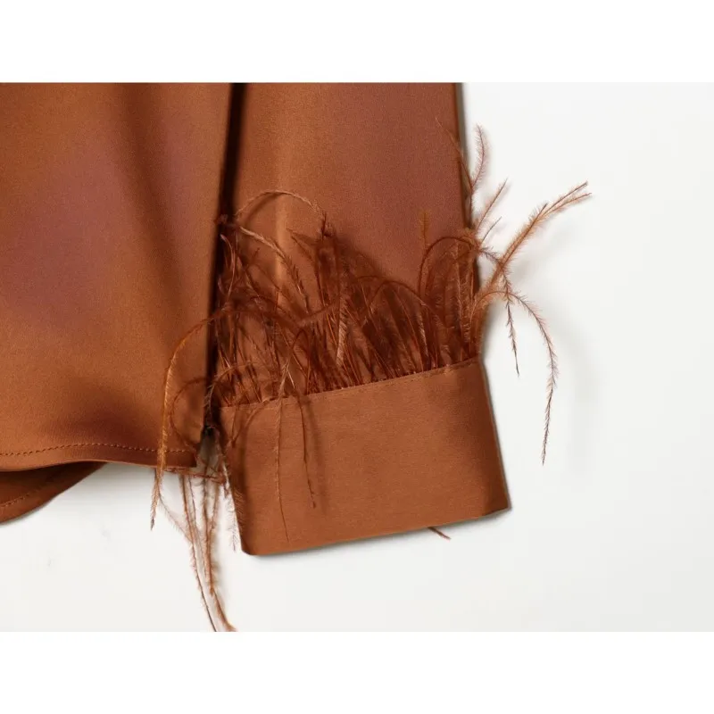 Femmes plume Satin Blouse décontracté printemps été col rabattu à manches longues bouton chemise femmes hauts femme chemise et chemisiers