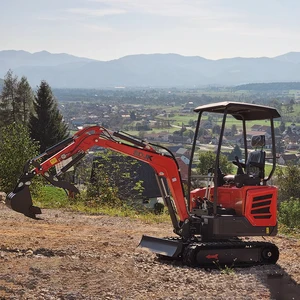 1800 كجم حفارة هيدروليكية صغيرة 1 طن 2 طن 3T حفارة صغيرة 1.8 طن حفارة كوبوتا بأسعار تنافسية بيع تخصيص المصنع أفضل 10 مبيعات للحفارات الصغيرة - رقم 5