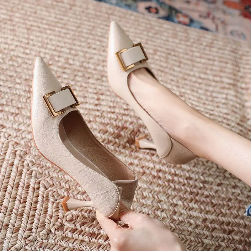 Soft Soled Pointed Thin Follow-up Shoes for 2026 Spring and Autumn New Women's Professional Work Black Versatile High Heels