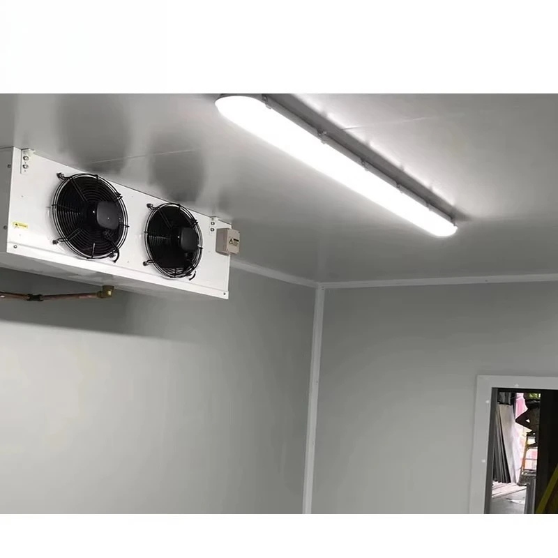 Customized Professional Walk-in Cold Storage Chiller Room Cooling Equipment For Potato Fresh Vegetable Long Time