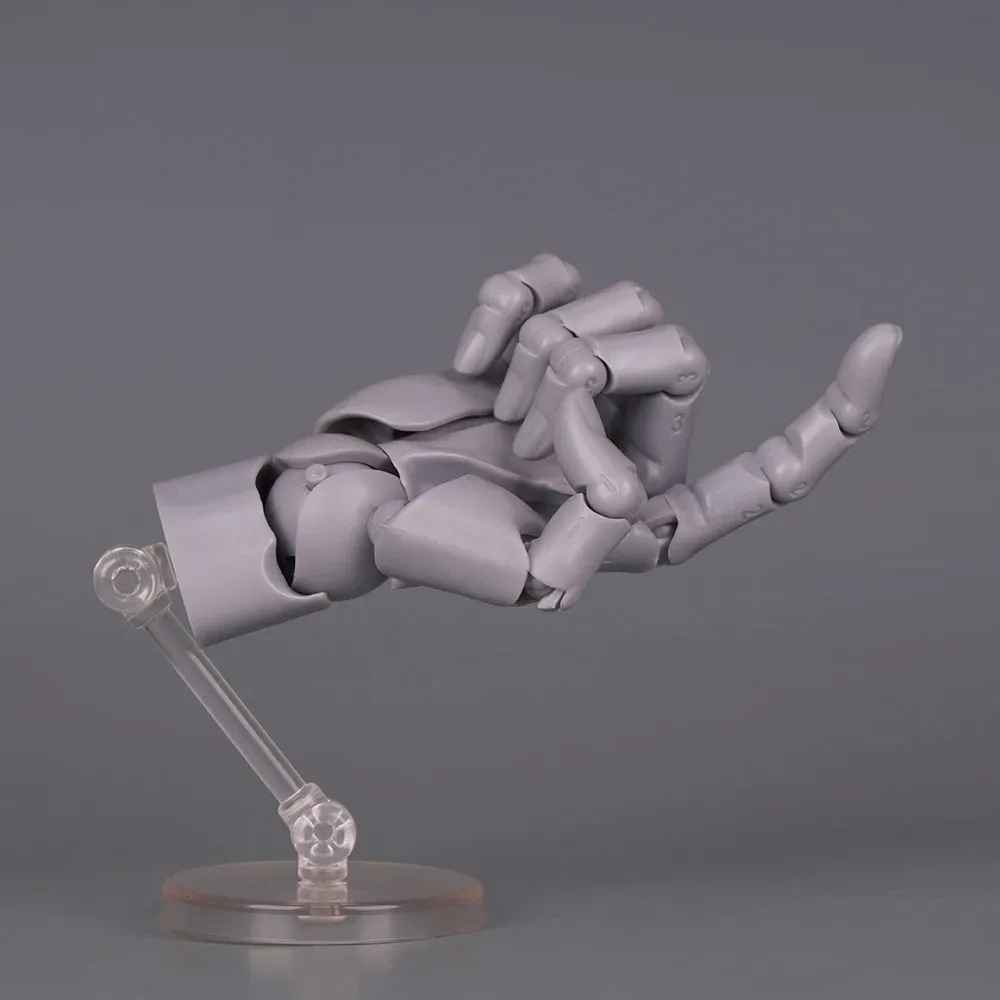 1:2 Maßstab Menschliches Handmodell Miniaturgröße Bewegliche Gelenke Handflächenmodell mit Dreh-Ei-Design und beweglichen Fingern – Detail 7