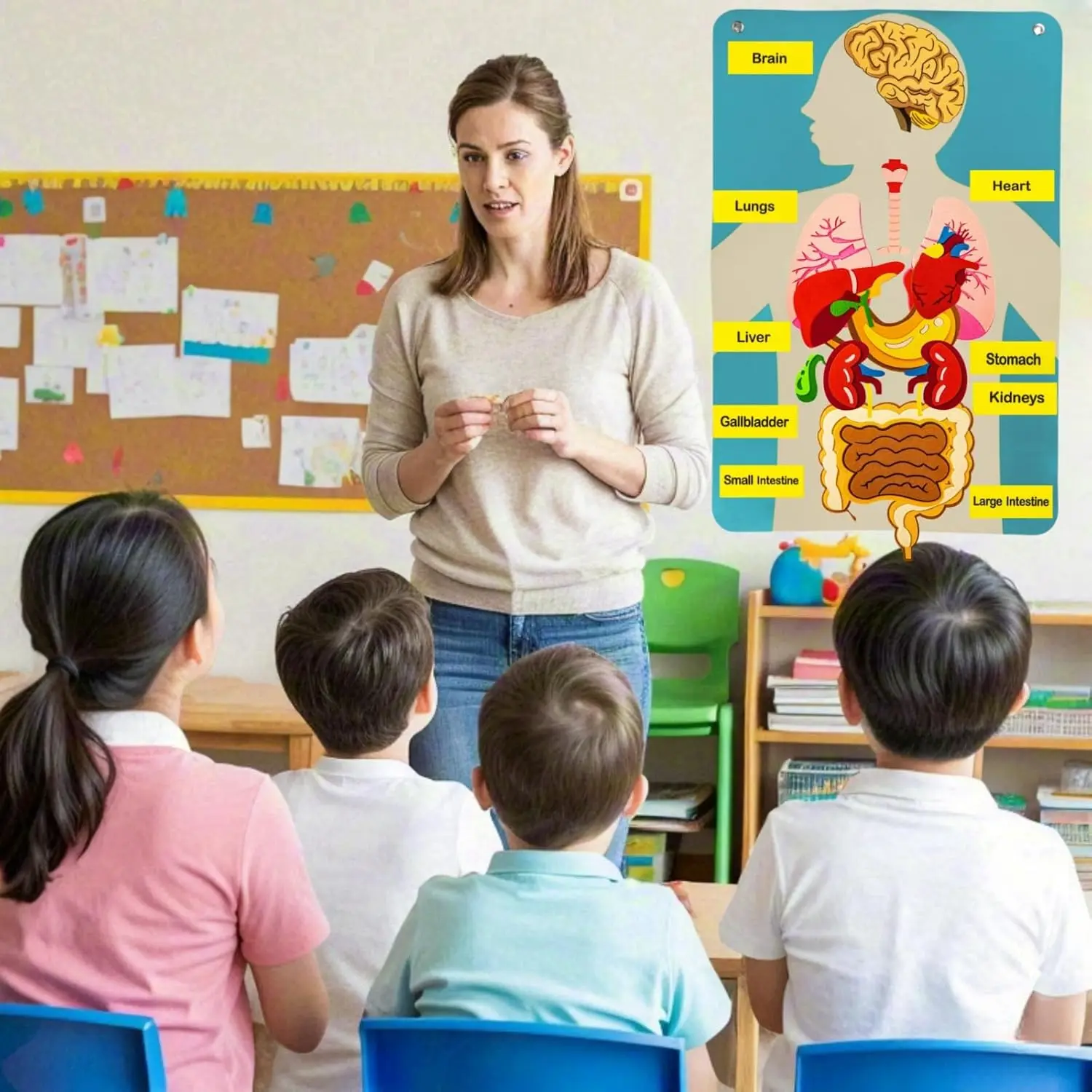 أجزاء جسم الإنسان قصص لوحية للأطفال ألعاب مونتيسوري الأنشطة الحسية تعليم الرعاية النهارية مرحلة ما قبل المدرسة التعلم التعليمي #3