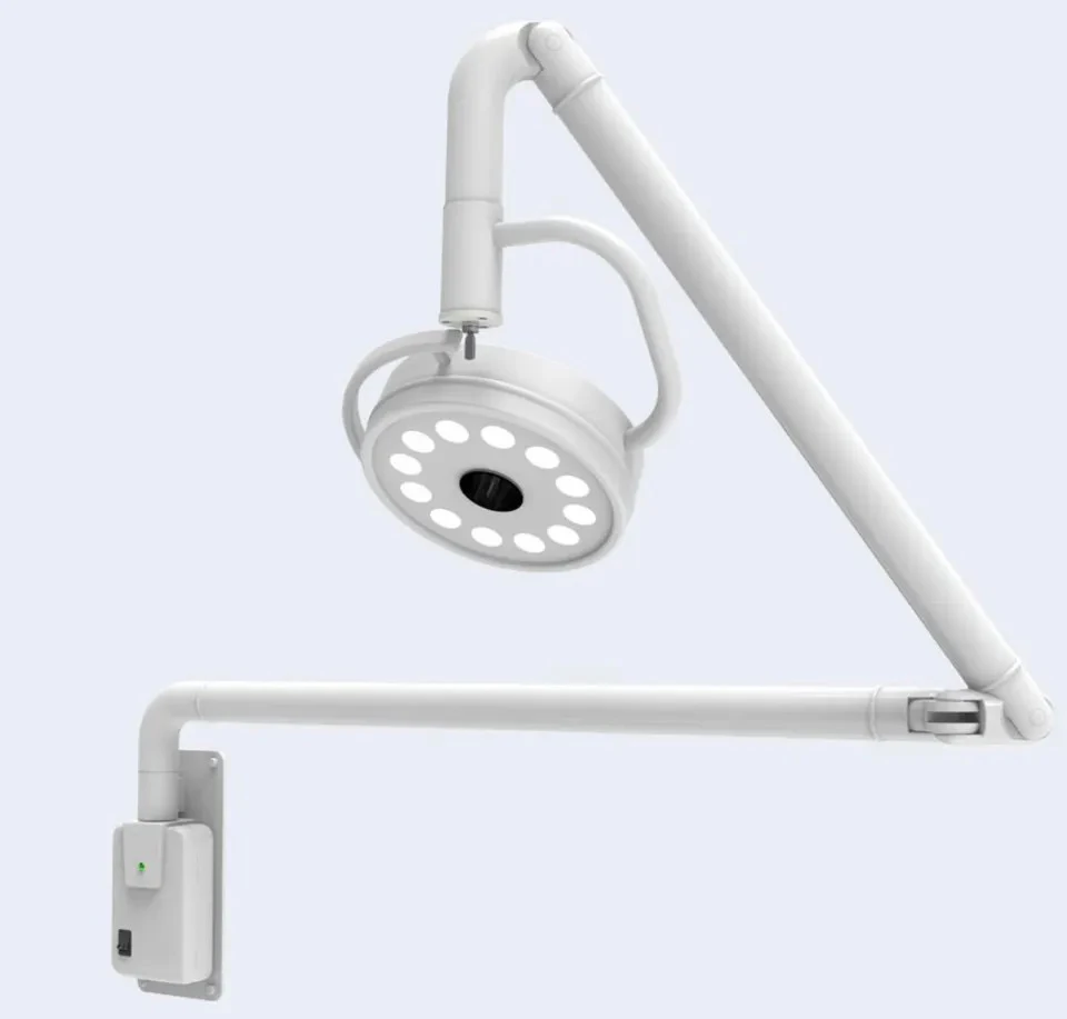 LZ Wall-mounted And Ceiling Recessed LED Surgical Lights Veterinary Operation Shadow Lamp 1pcs For Sale
