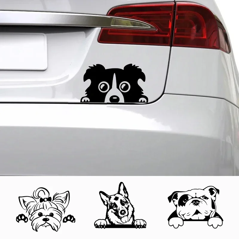 

Car Sticker Accessorie Funny Dog with Name Car Decal Dogs Pet Animals Laptop Vinyl Sticker Decoration,15CM