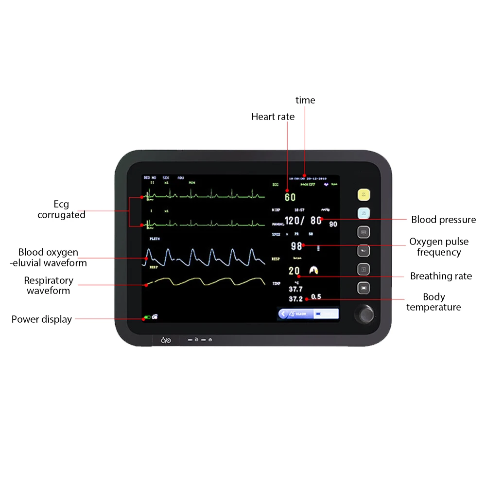 veterinary equipments mini multi-parameter vet pet veterinary  bp anesthesia multiparametro monitor ibp ppm-sv12