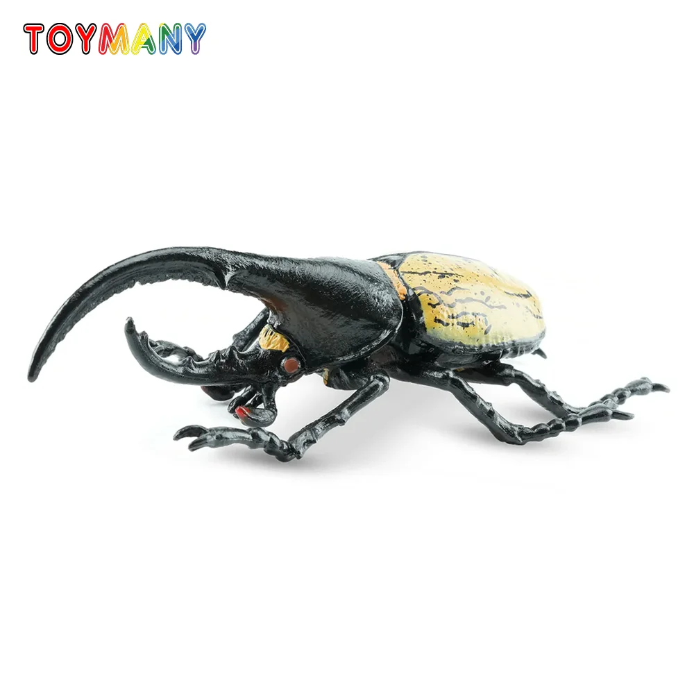 Toymany محاكاة الحشرات والخنفساء هرقل خنفساء نماذج للحيوانات لعبة شخصيات صغيرة دمى عمل التماثيل لعب الأطفال هدية