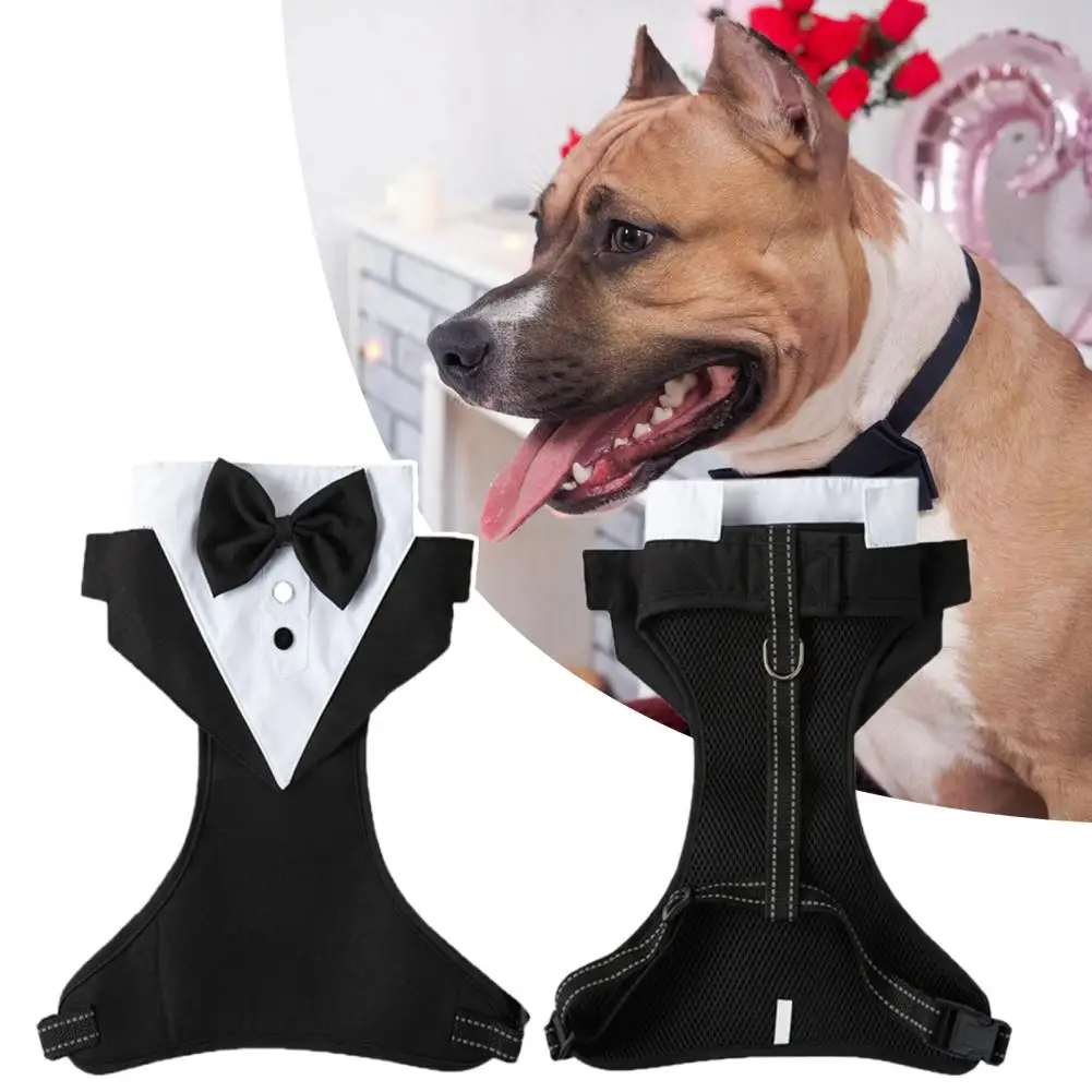 Stylish Dog Wedding Attire Easy to Take Off Buckle Closure Adjustable Neck Circumference Dog Wedding Suit for Spring