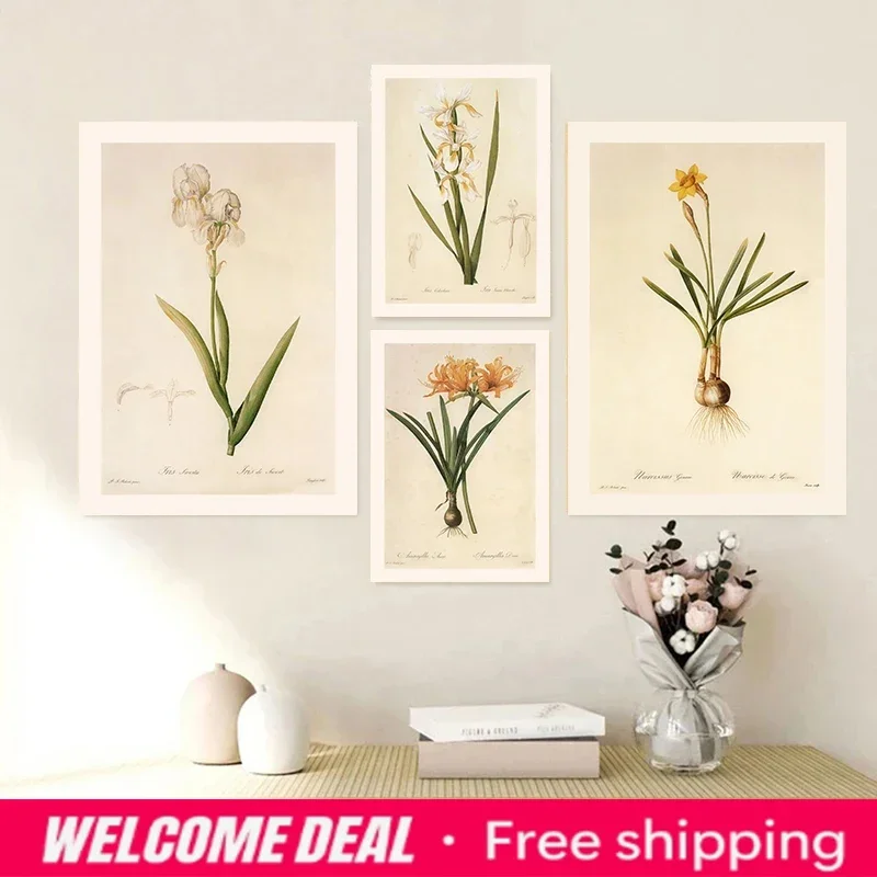Vintage Botanical Posters and Prints Blush-colored Crinum Barbados Lily Canvas Painting Wall Art Picture for Room Office Deco