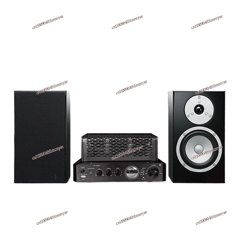 

NS-BP301 Piano Paint High Fidelity Hifii Small White Basin Audio Gall Machine Combination