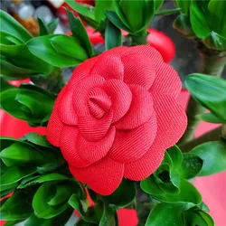 붉은 동백꽃 브로치, 파티 박스 선물 장식 액세서리, 7.0cm, 50 개/백