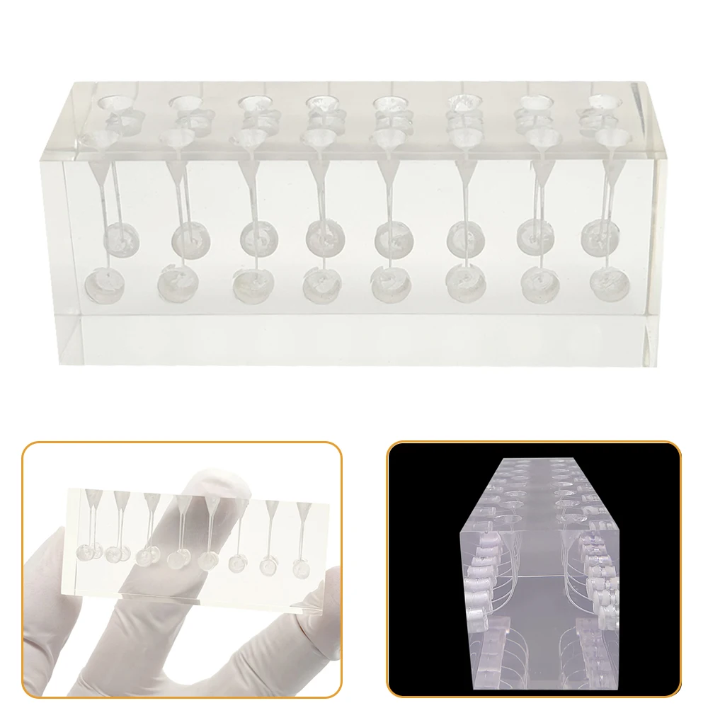 16 Hole Dental Endodontic Root Model Canal Block Practice Pulp Cavity Clear Resin Endo Training Teeth Teaching Exercise Lab Tool