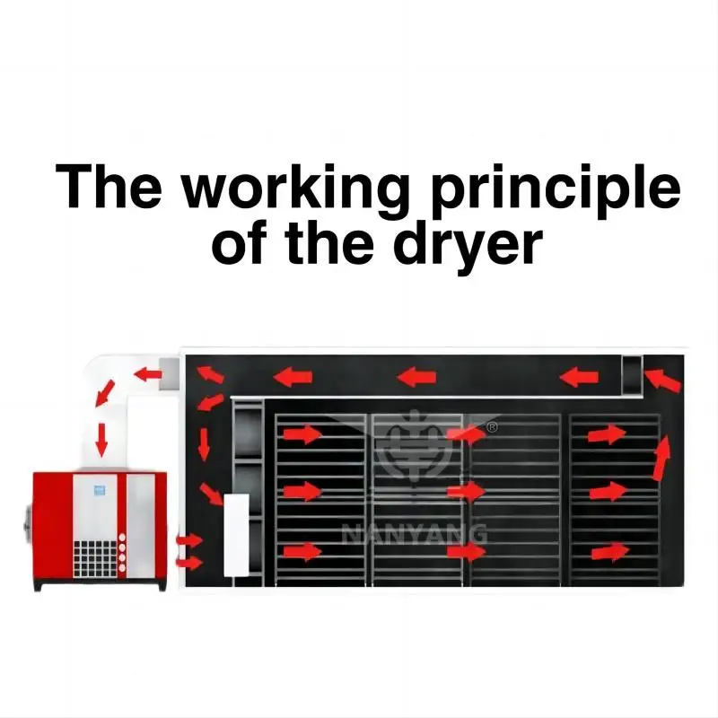 Industrial Large Capacity Food Dehydration Equipment Fruit And Vegetable Dryer Birds Nest Cassava Lemon Drying Oven view 5