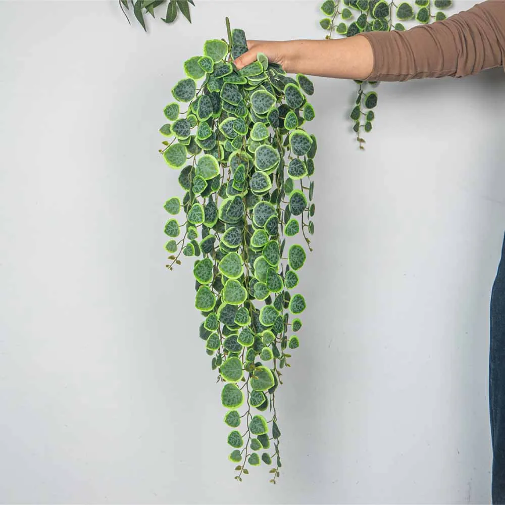 60–80 cm künstliche hängende Ranken, tropische Eukalyptuspflanzen, Kunststoff, Geldblatt, Wandbehang, Rattan für Hochzeit, Haus, Garten, Dekoration – Detail 8