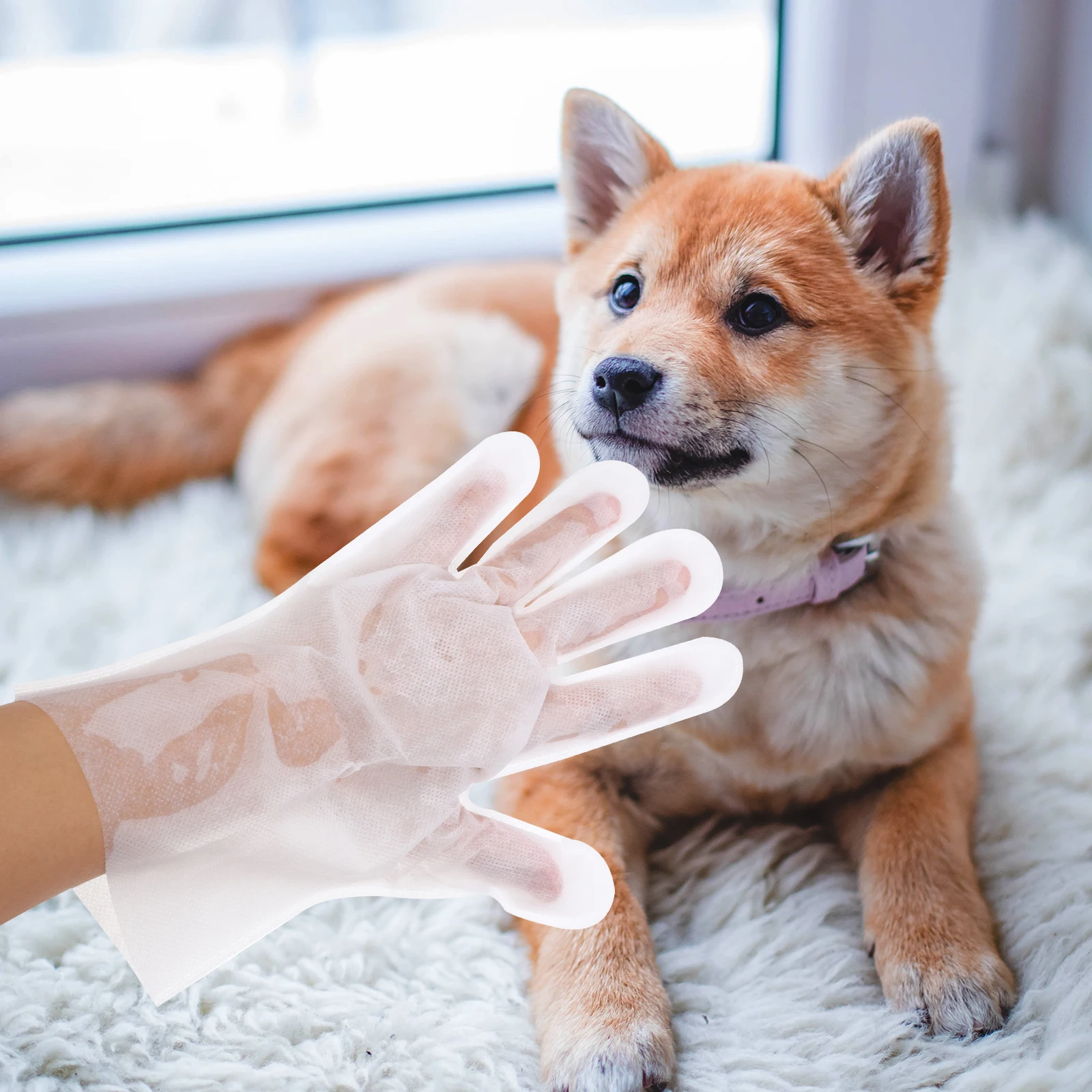 

6 Pcs Pet Cleaning Gloves Dog Grooming Household Supplies Bath Wipes Cats Puppy Deodorizing Non Woven Fabric Odor Removal Shiny
