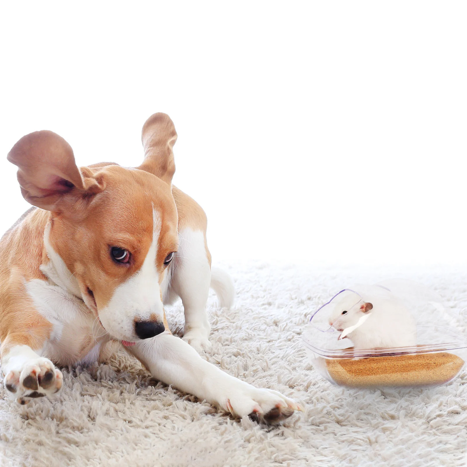 

Hamster Bath Container Transparent Material Sturdy Practical Safe Pet Hamster Comfortable Feel Unique Beautiful Happy Bathing