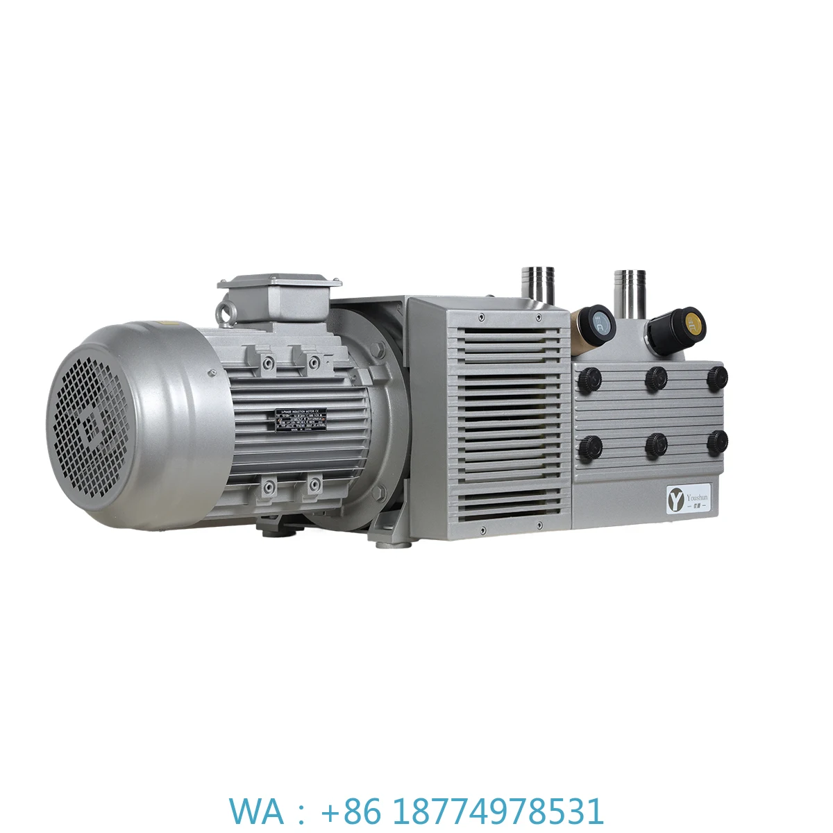 

for Automotive Industry with 1 Year WarrantyZYW100E 5.5KW Low Pressure Rotating Blade Vacuum Pump