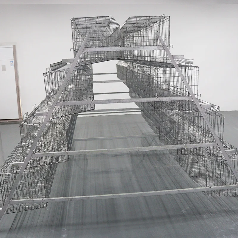 Chicken Coop, Hot-dip Galvanized Material and Equipped with an Automated System