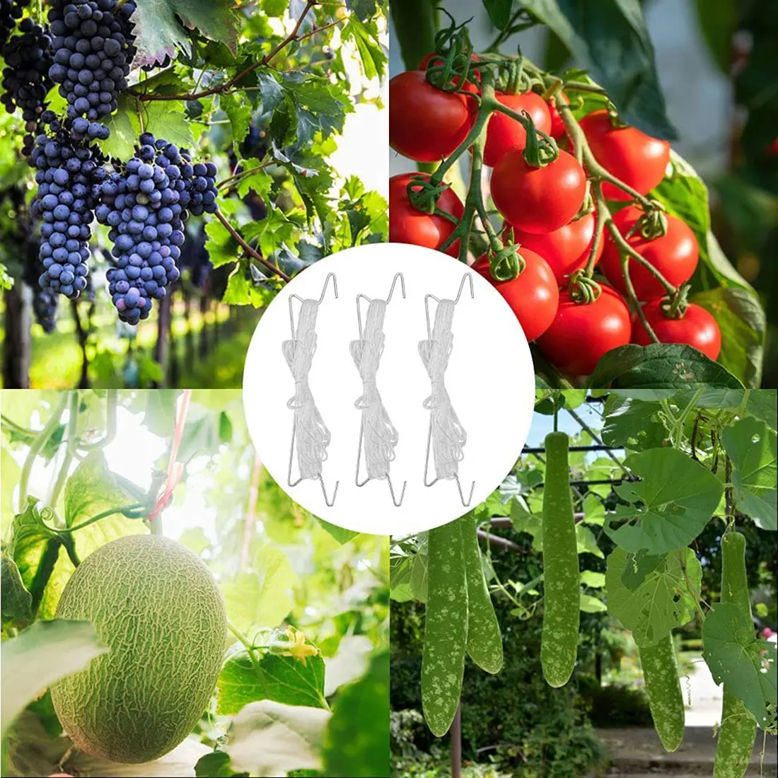 ETRT 10 قطع خطافات الطماطم المعدنية المضادة للسحق خطافات الحديقة خطاف الطماطم النباتية يدعم زراعة الطماطم والكرز ونباتات الكرمة وما إلى ذلك