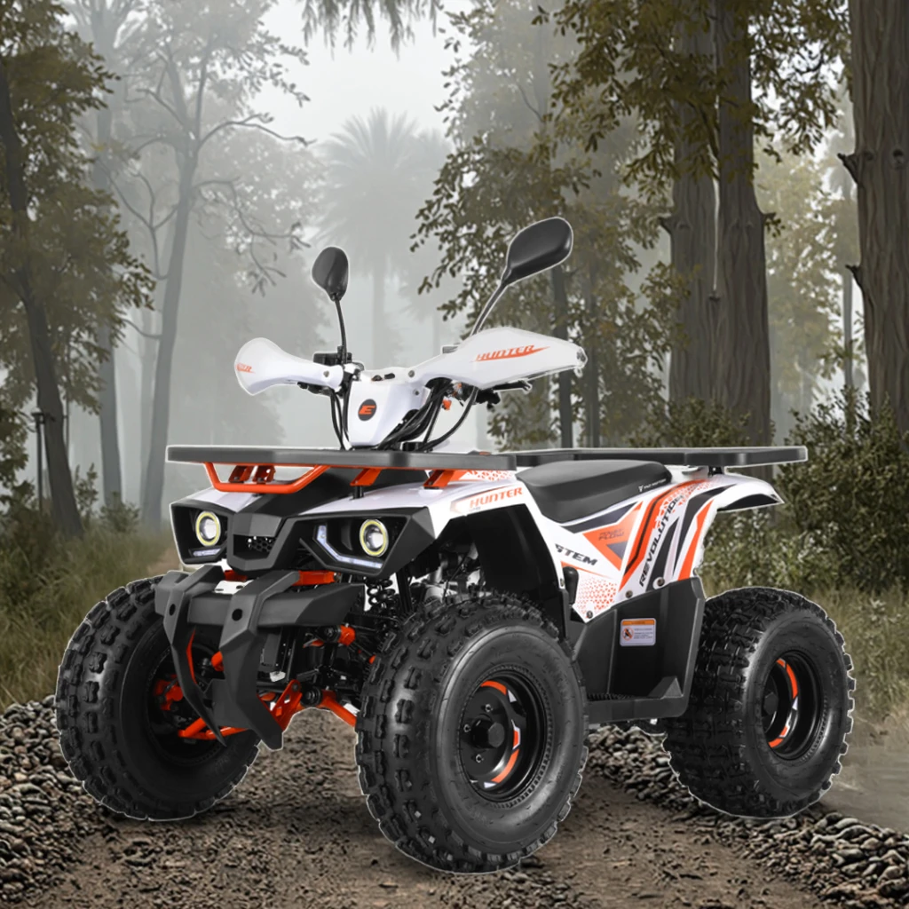 Tao Motor EFI Electronic Fuel Injection Kids ATV 125 Quadricycle Cheap Chinese Quad Bike Automatic  Chain Drive Farm ATV 125cc