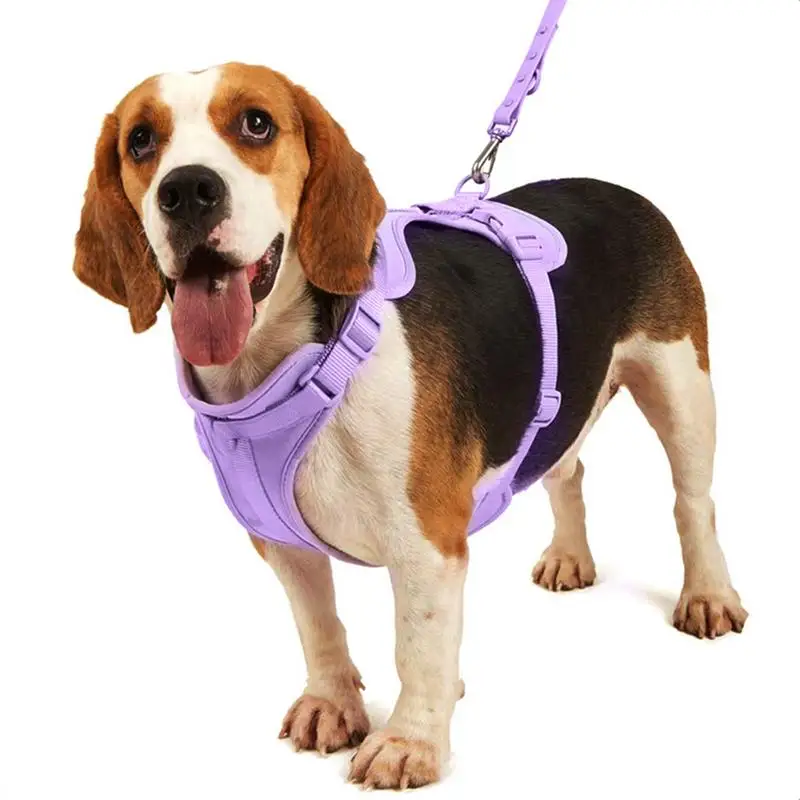 Dog Harness Set For Small Dogs No Pull For Medium Dogs Vest Harness With Lead Safety Collar Adjustable With Poop Bag Holder