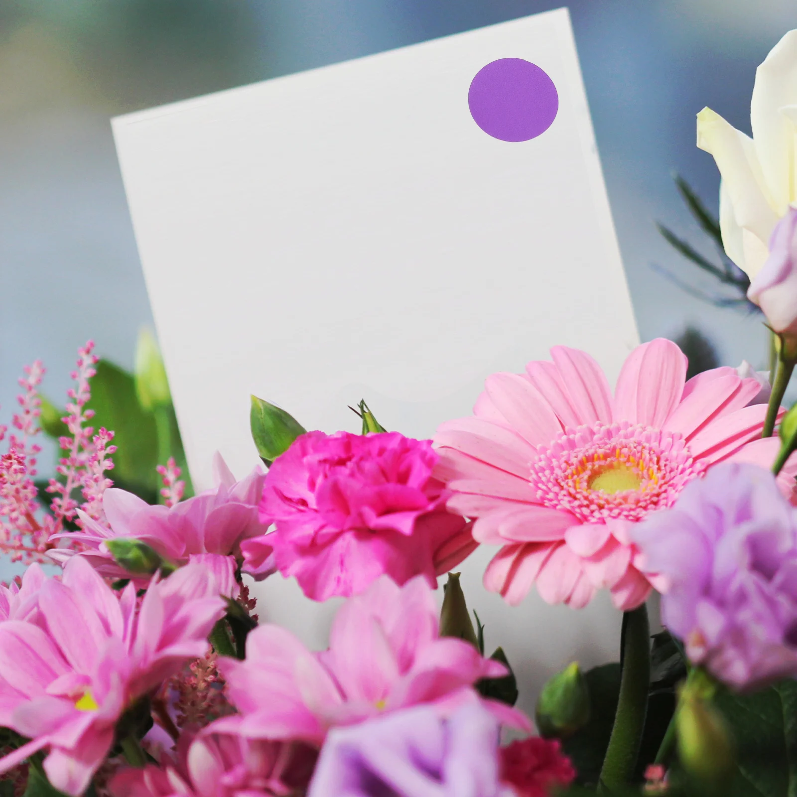 

Circle Dots Stickers 15 Sheets Colorful Removable Adhesive Labels for Home Office School Projects Organizing Coding Inventory