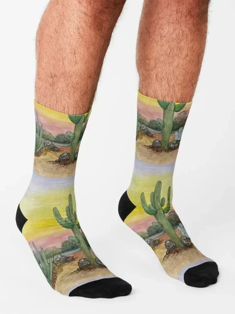 Saguaro Meias aquarela originais meias de luxo de halloween para homens e mulheres