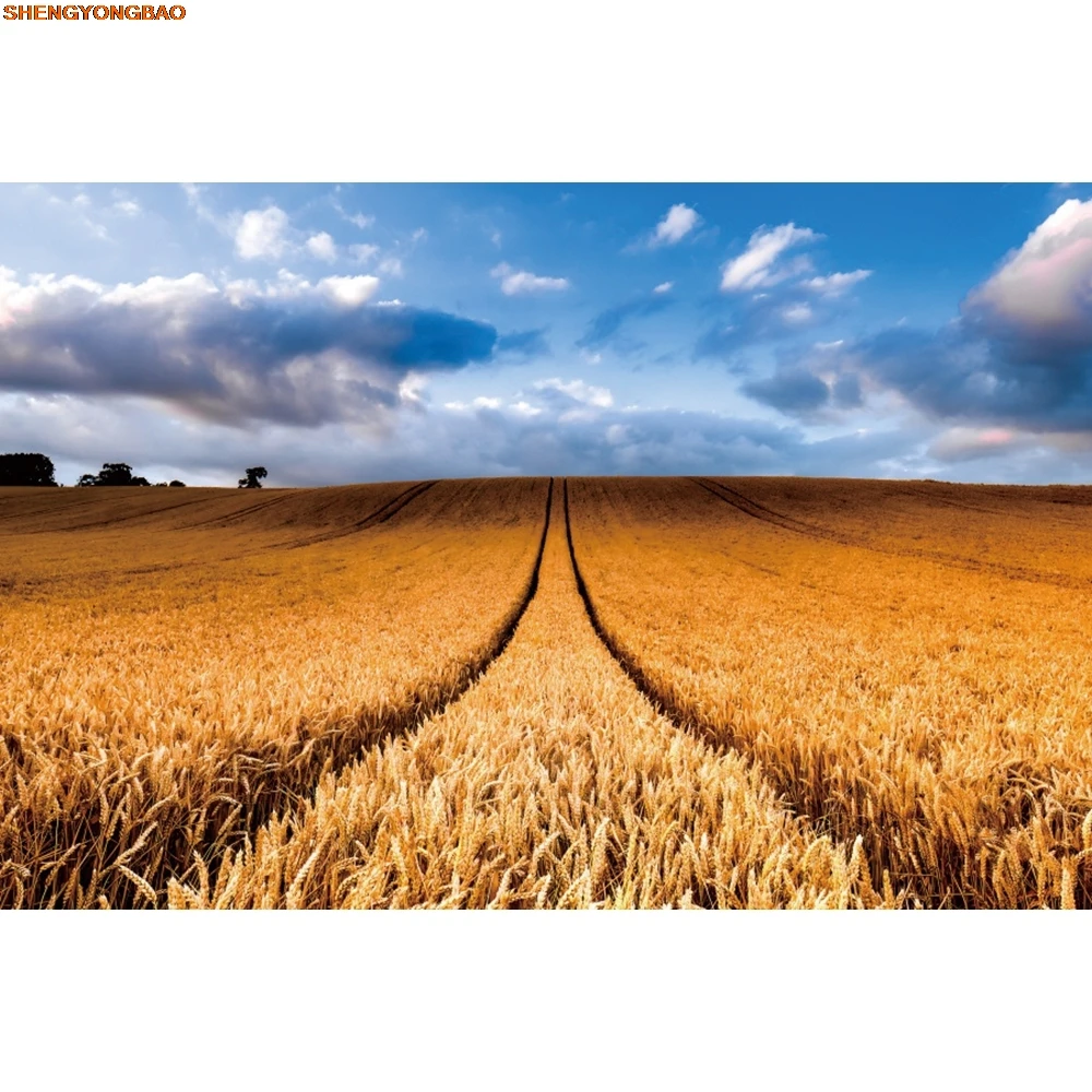 Фон с пшеничным полем, осенняя ферма, золотое поле, небо, белые облака, тыквы, урожай, природа, фон для фотосъемки, декор для фотостудии