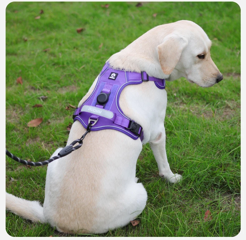 Kein ziehendes Hundegeschirr mit AirTag-Halter, Griff und vorderem Clip – verstellbare, reflektierende, weich gepolsterte Hundegeschirrweste zum Spazierengehen, Tra – Detail 16