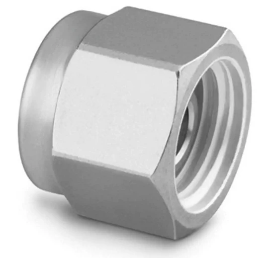 SS-1210-P Tube Fittings Are Plugged with 316 Stainless Steel for 3/4 In