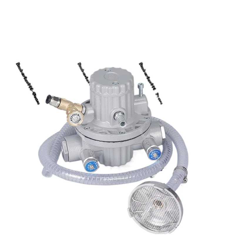 

Pneumatic One-way Diaphragm Pump Carton Ink Ink Pump Diaphragm Glue Pump Anti-corrosion HL2002