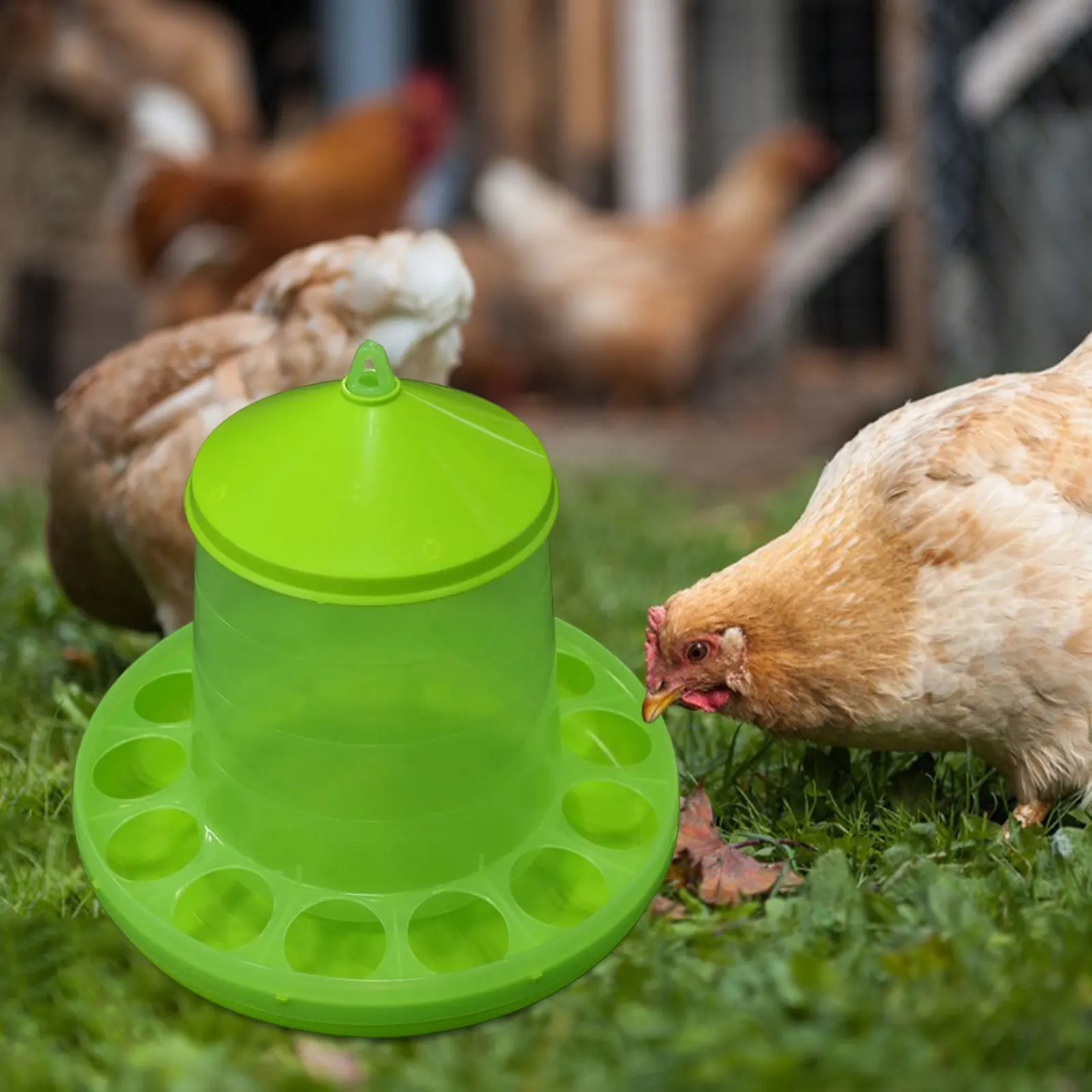 1Pc Chicken Waterer Automatic Chicken Feeder Chick Drinker Bucket Farm Animal Poultry Feeding Tools for Bird Quail Chick Pigeon