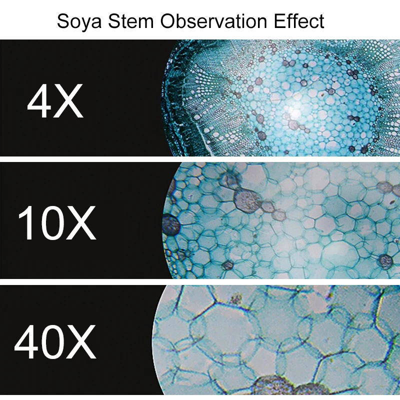 40X-1600X Binocular Biological Microscope with 360 degree Rotatable Head Optical Illuminated Microscope for Student Experiment