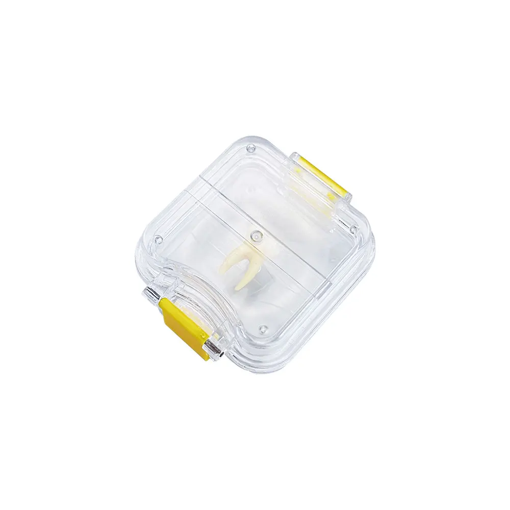 Transparent Teeth Box Membrane Tooth Boxes Denture Retainer Case