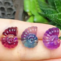 Natural Fluorite Mini Carvings Crystals Sea Snail Conch Rainbow Fluorite Whelk Crystal Stone Healing Gemstone Home Decor Gift