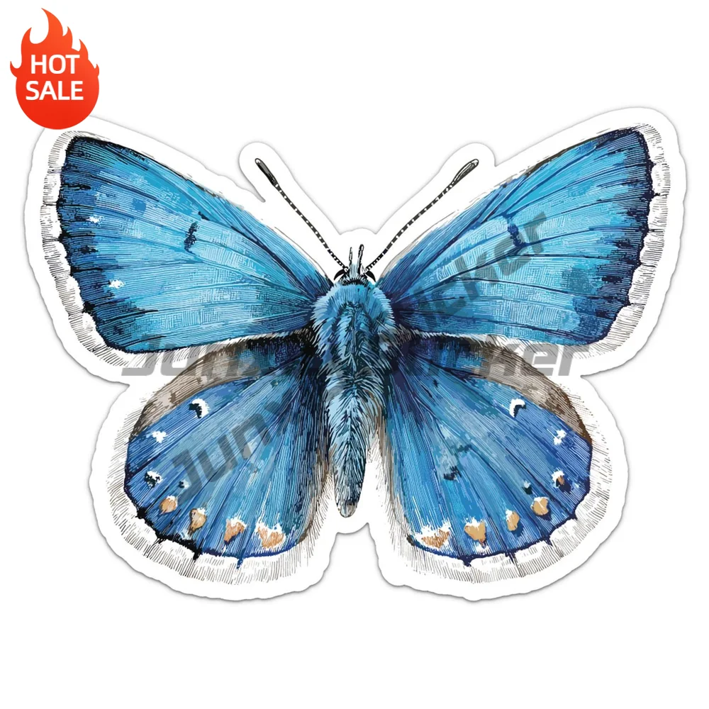 Adonis Blue Butterfly Elegant Colorful Life Vinyl Sticker Decal for Car Window and Laptop Animal Art Decoration