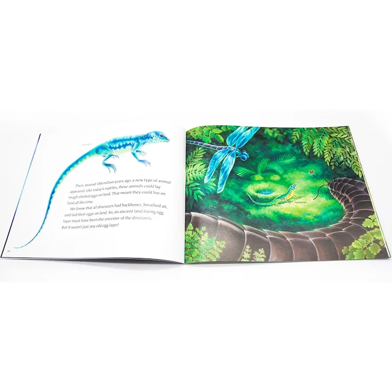 Where Did Dinosaurs Come From (Let's-Read-and-Find-Out Science 2), Child aged 5 6 7 8 English book,Picture Books 9780064452168