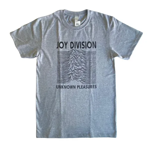 

Серая футболка JOY DIVISION UNKNOWN приятности