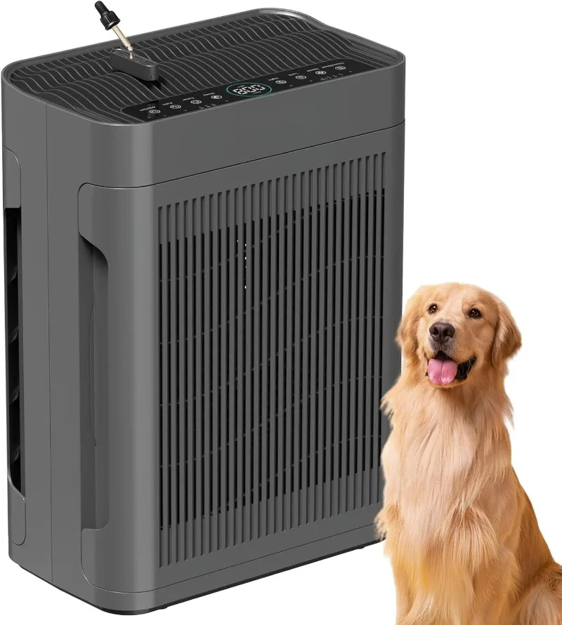 Home Large Room Up … - image