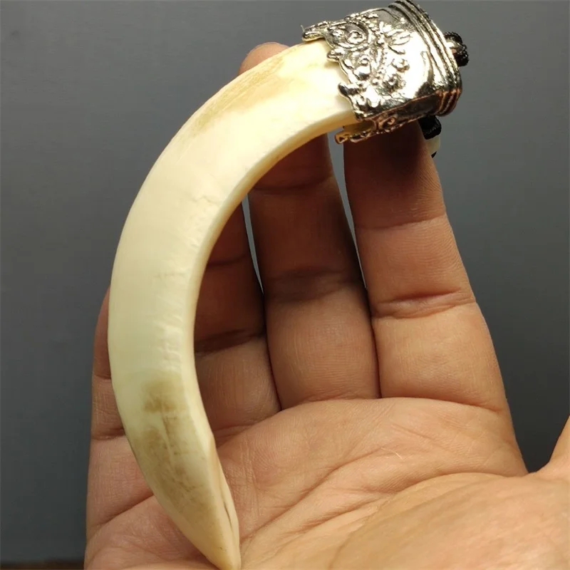 TibetanSilver Auspicious Beast Inlaid Pure Natural Wild Boar Tooth Necklace Pendant Fashion Elegant Jewelry Men Women CoupleGift