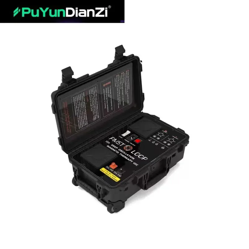 2025 PEMF Therapy PMST LOOP آلة مغناطيسية مع حلقة كبيرة وحلقة فراشة لتقليل التوتر والقلق #3