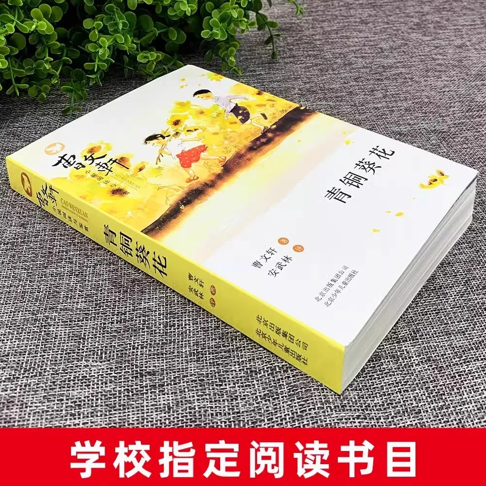 1 Book Cao Wenxuan The Straw House / Bronze and Sunflower Chinese Children Literature Novel Reading Book