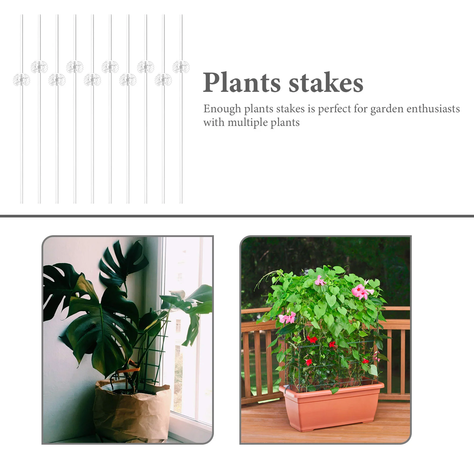 

1 Set Of Acrylic Stakes Clear Support For Vine Plants Garden Indoor Outdoor Use Plant Support Stakes Potted Plant Holder Garden